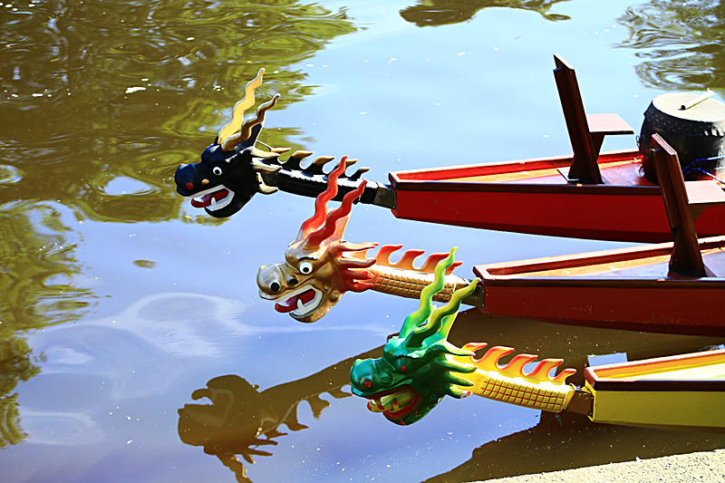 BV6R4175 - DRAGON BOAT RACE 2017