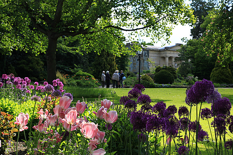 JUNE 2015 -6 - FOUR SEASONS MUSEUM GARDENS
