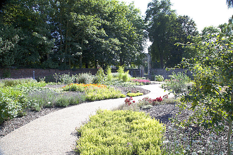 BV6R8281  EDIBLE GARDENAUGUST 2016  copy - FOUR SEASONS MUSEUM GARDENS