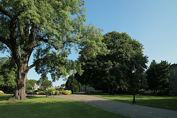 IMGL7663 - MUSEUM GARDENS