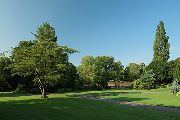 IMGL7648 - MUSEUM GARDENS