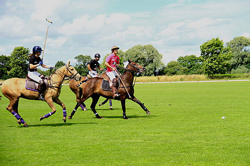 IMG_7633 - WHITE ROSE POLO CLUB LADIES DAY