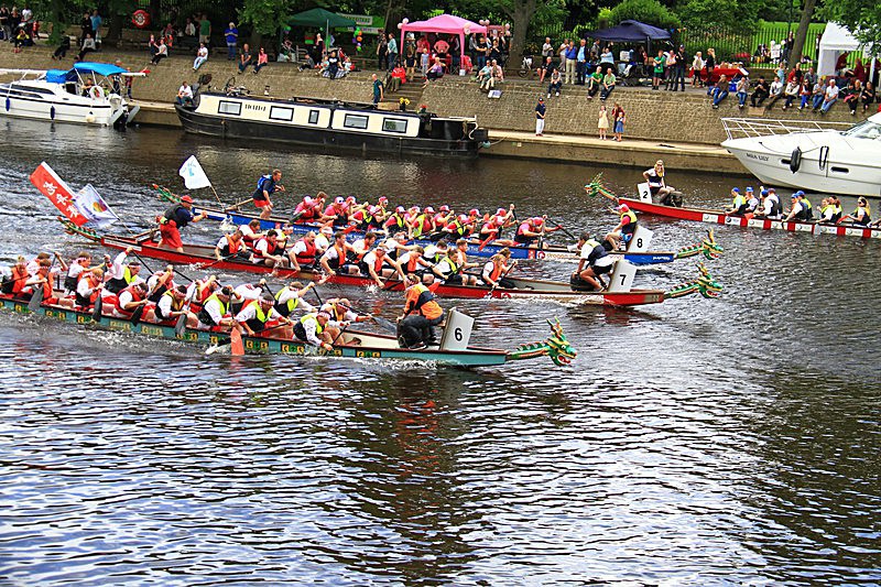 DRAGON BOAT RACE 10 July 2016 - 402 of 549 - DRAGON BOAT RACES 2016 York Rotary Club