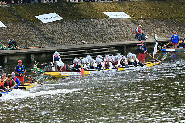 IMGL6935 - DRAGON BOAT RACE 2014 York Rotary Club