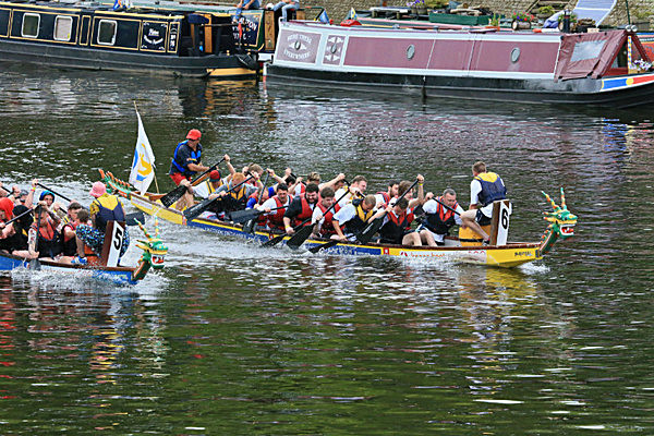 IMGL6570 - DRAGON BOAT RACE 2014 York Rotary Club