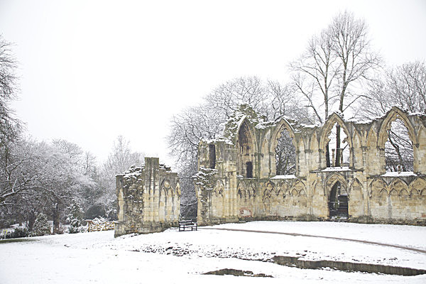 IMG_7699 - MUSEUM GARDENS