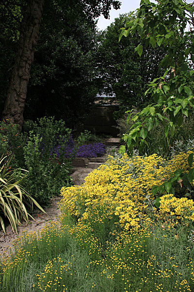 IMG_7519_2 - MUSEUM GARDENS