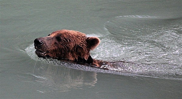  - ALASKA