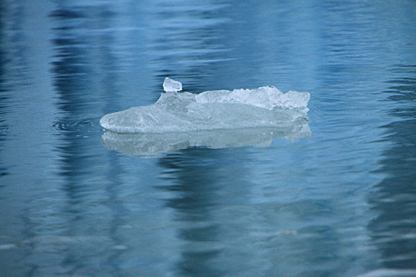 IMG_7831 - SVALBARD 2013