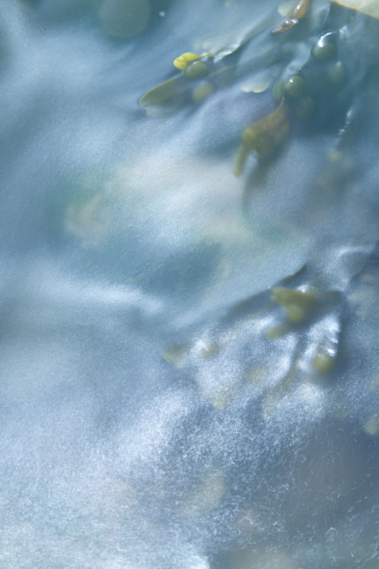 IMGL8567_2 - PORTFOLIO 2015