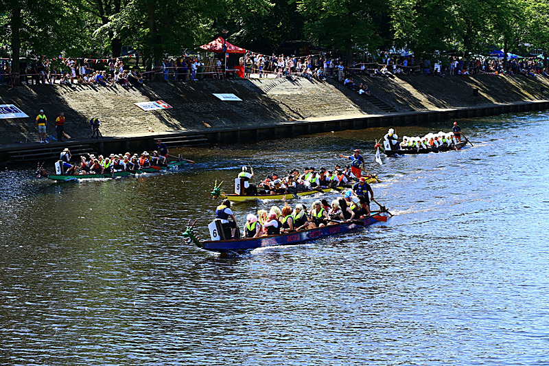 BV6R4453 - DRAGON BOAT RACE 2017