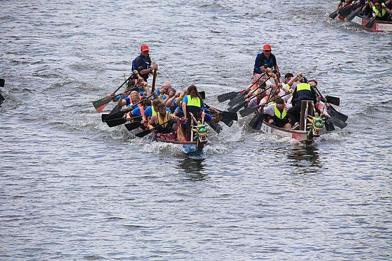 BV6R1713 - DRAGON BOAT RACES 2015 York Rotary Club