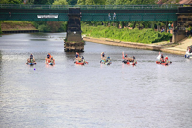 DRAGON BOAT RACE 10 July 2016 - 475 of 549 - DRAGON BOAT RACES 2016 York Rotary Club