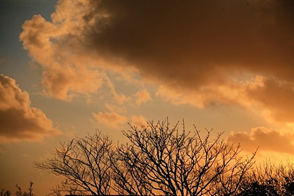 0 - MOODS, ROBIN HOOD'S BAY