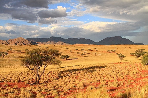 IMG_4709 - NAMIBIA 2012