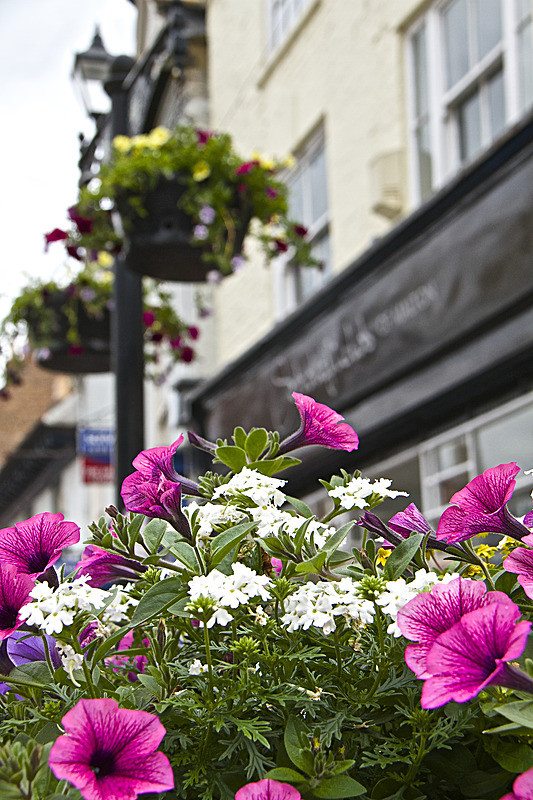 IMG_7370 - Version 2 - MALTON IN BLOOM 2017
