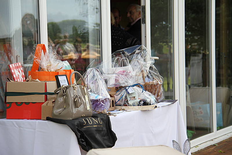 IMG_7672 - WHITE ROSE POLO CLUB LADIES DAY
