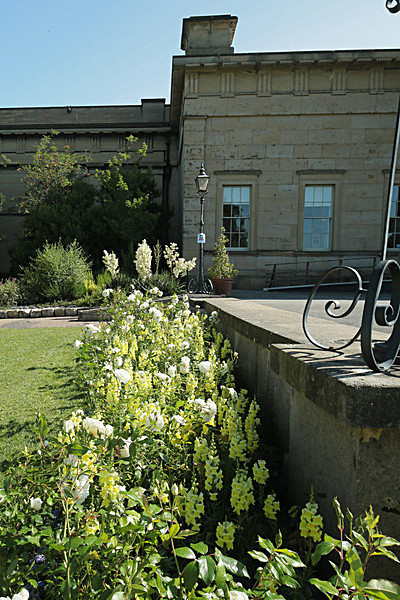 IMGL7778 - MUSEUM GARDENS