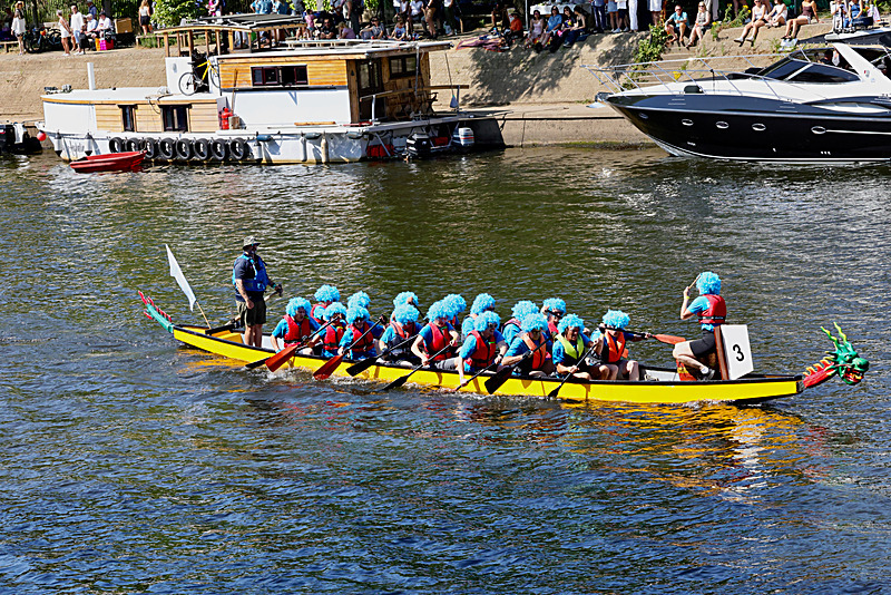 THE YORK ROTARY DRAGON BOAT CHALLENGE 2026 - 305 of 426 - DRAGON BOAT RACE 2026. York Rotary Club.