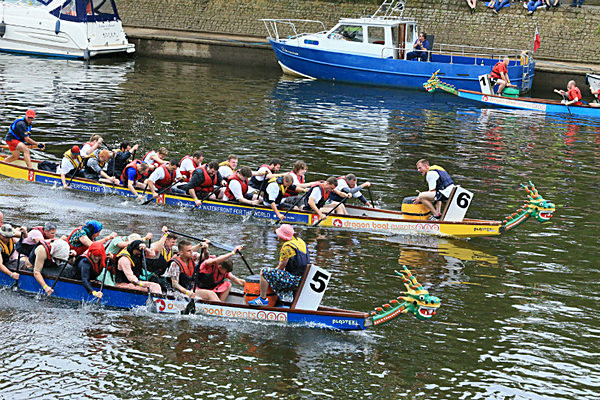 IMGL6579 - DRAGON BOAT RACE 2014 York Rotary Club