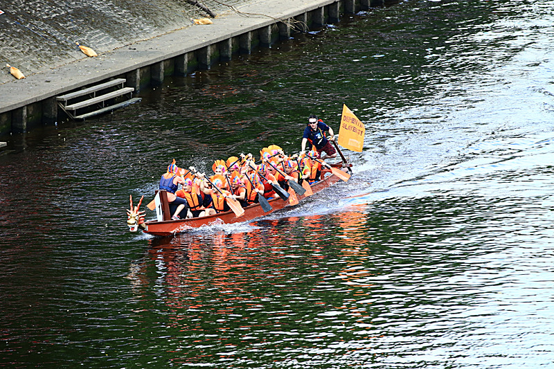 BV6R4234 - DRAGON BOAT RACE 2017