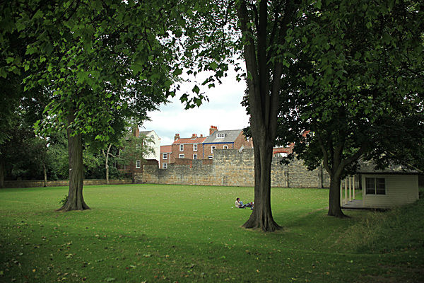 IMG_7652 - MUSEUM GARDENS