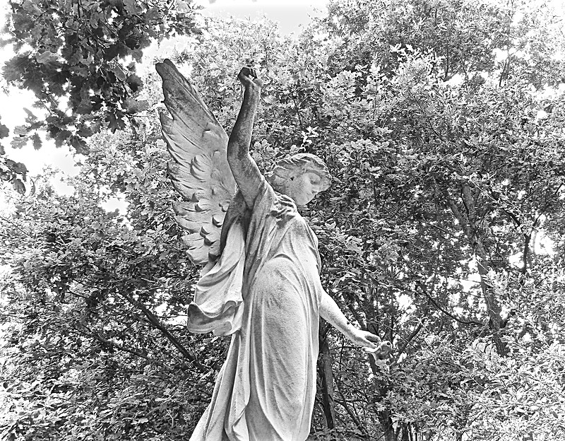 IMG_1514 - YORK CEMETERY CHAPEL EXHIBITION JUNE 2017