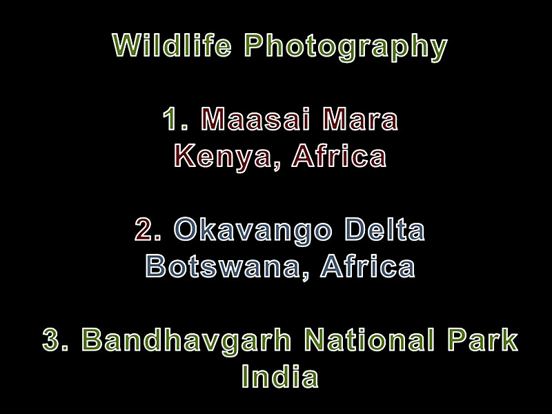 Wildlife Presentation - Wildlife Photography Presentation. Easingwold Camera Club. Mon 28 Feb 2022. 7.30 pm