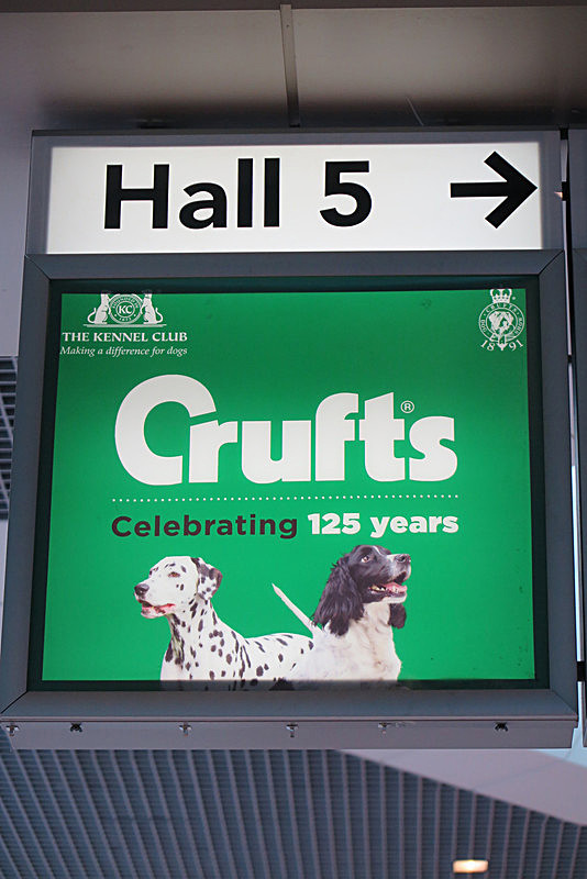 IMG_0760 - TEDDY MAXIMUS at Crufts March 2016. https://teddymaximus.com/