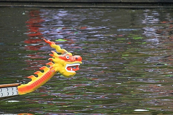 IMG_1445 - DRAGON BOAT RACE 2011 York Rotary Club