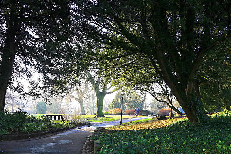 DECEMBER 2014-6 - FOUR SEASONS MUSEUM GARDENS