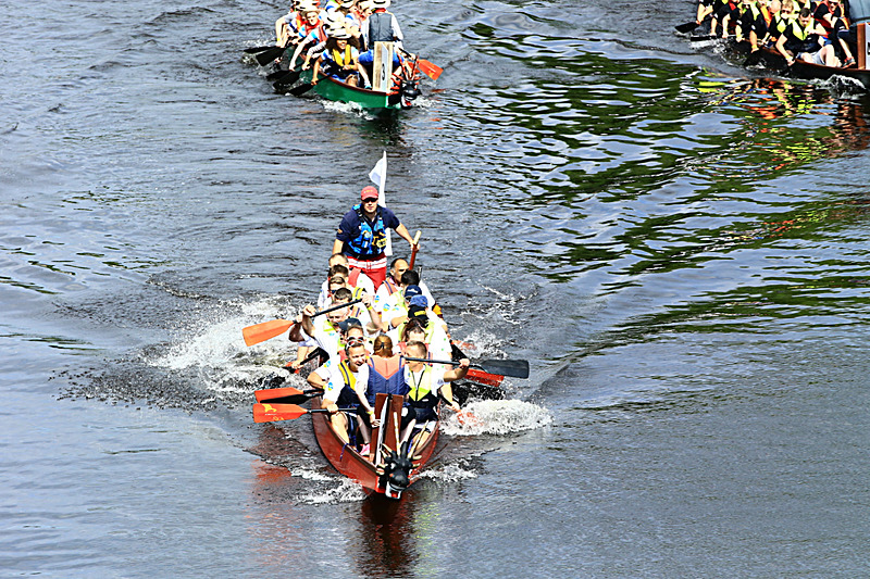 BV6R4197 - DRAGON BOAT RACE 2017