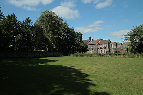 IMGL7890 - MUSEUM GARDENS