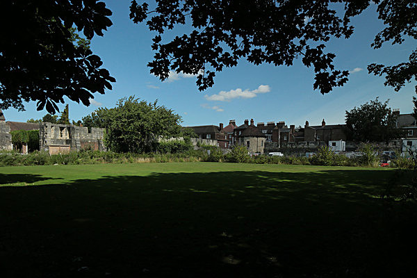 IMGL7887 - MUSEUM GARDENS