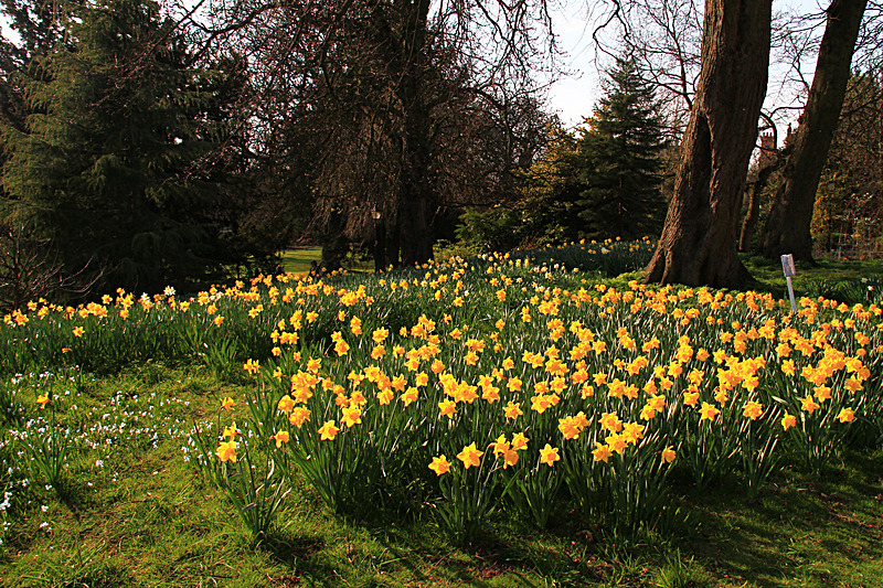 APRIL 2015-13 - FOUR SEASONS MUSEUM GARDENS