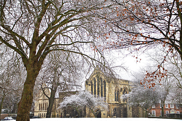 IMG_7674 SNOWY DEANS PARK YORK MINSTER LIBRARY copy - YORK SNOW 2008