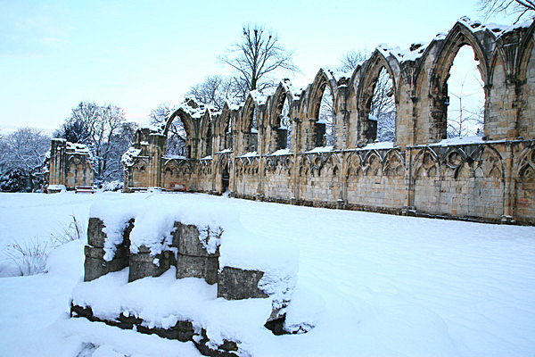 IMG_0418 - MUSEUM GARDENS