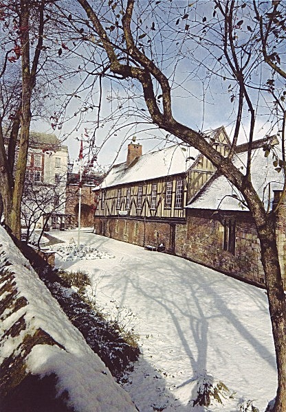 merchant_advent_card - YORK AGAINST CANCER CHRISTMAS CARDS 2012