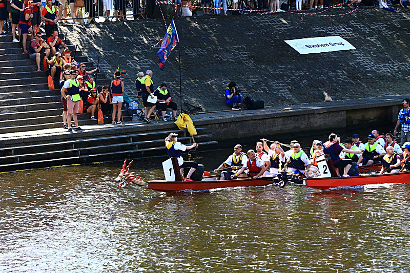 BV6R4460 - DRAGON BOAT RACE 2017