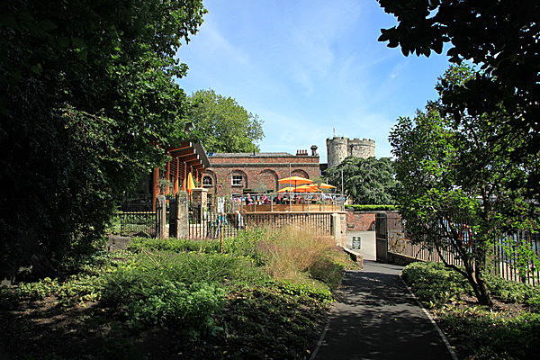 IMG_8131 - MUSEUM GARDENS