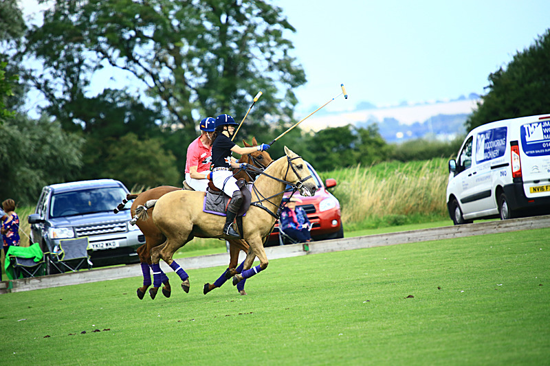 BV6R6824 - WHITE ROSE POLO CLUB LADIES DAY