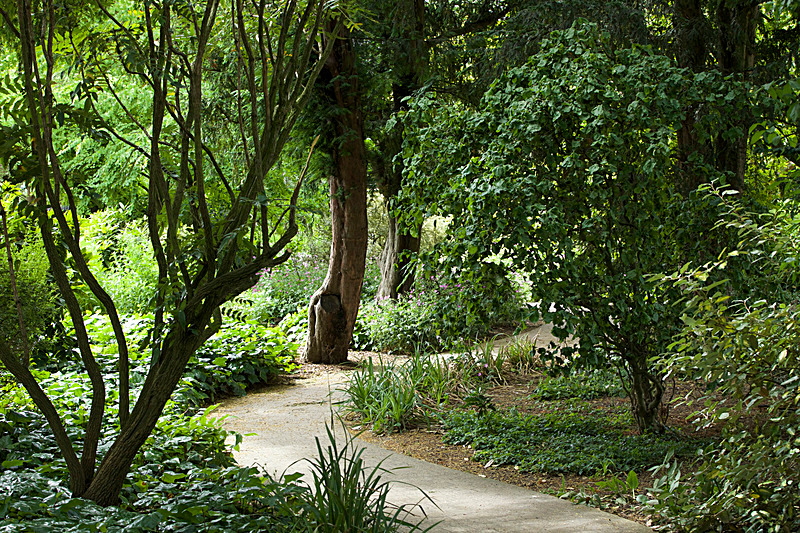 JUNE 2014  -4 - FOUR SEASONS MUSEUM GARDENS