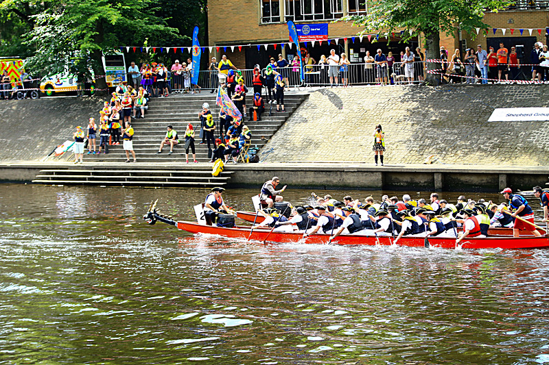 BV6R4281 - DRAGON BOAT RACE 2017