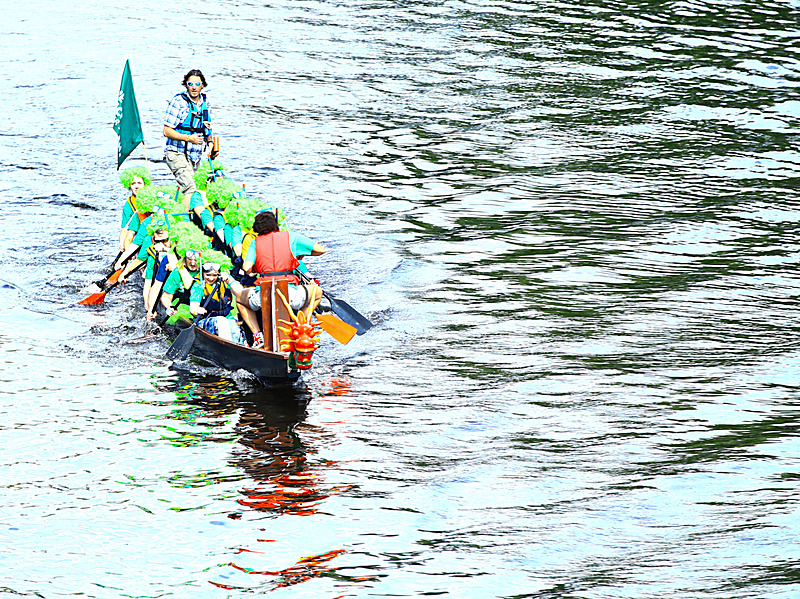 BV6R4217 - DRAGON BOAT RACE 2017
