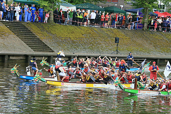 IMGL6495 - DRAGON BOAT RACE 2014 York Rotary Club