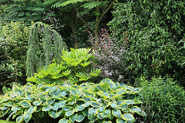 IMGL5683 - MUSEUM GARDENS