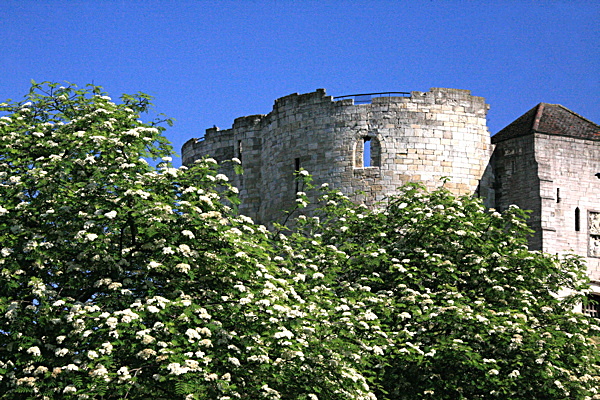 Clifford's Tower - YORK AGAINST CANCER CALENDAR 2011