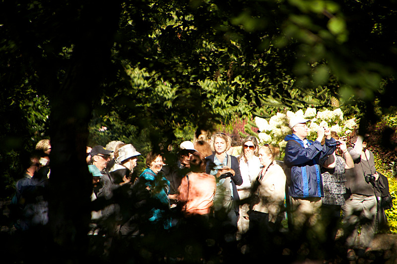 AUGUST 2014  - FOUR SEASONS MUSEUM GARDENS