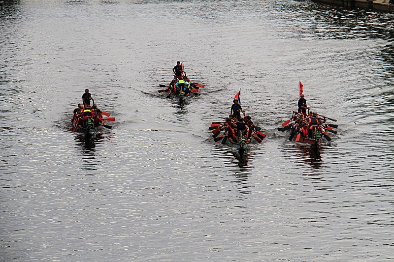 DRAGON BOAT RACE 10 July 2016 - 136 of 549 - DRAGON BOAT RACES 2016 York Rotary Club