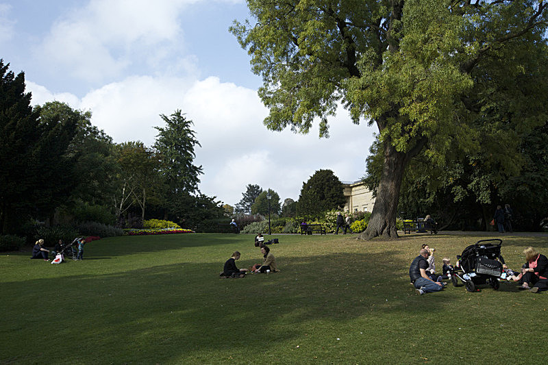 IMGL8904 - SHEET 1 NEW/OLD  MUSEUM GARDENS